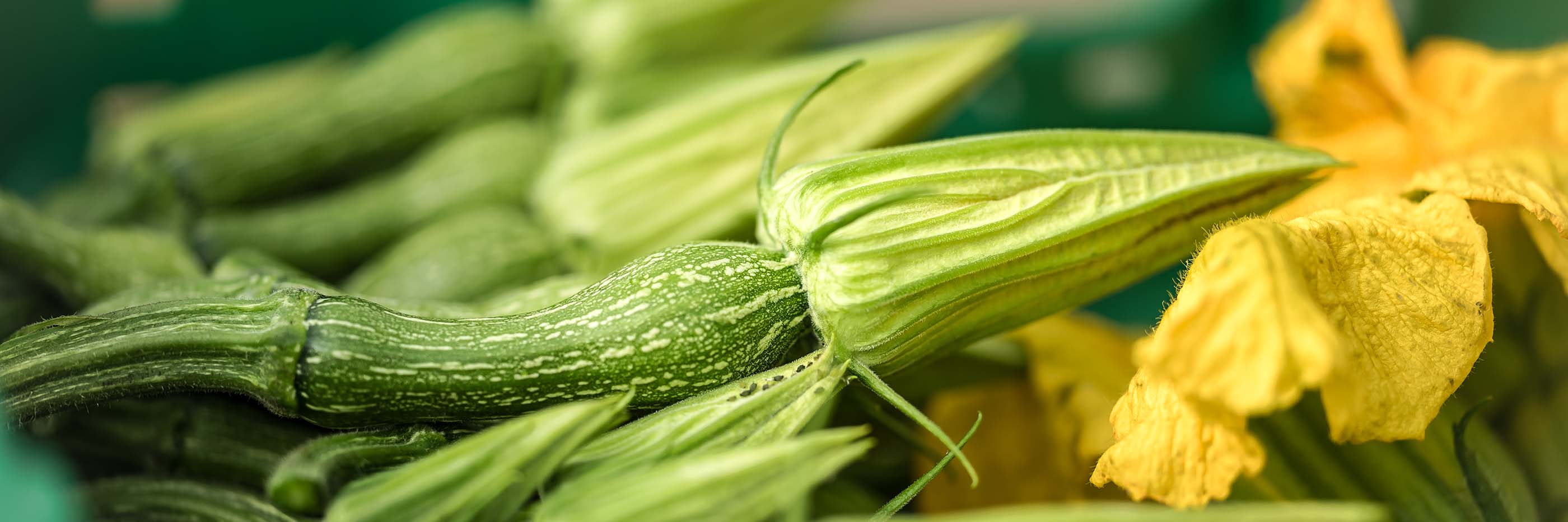 Binu vegetable : Baby butternut
