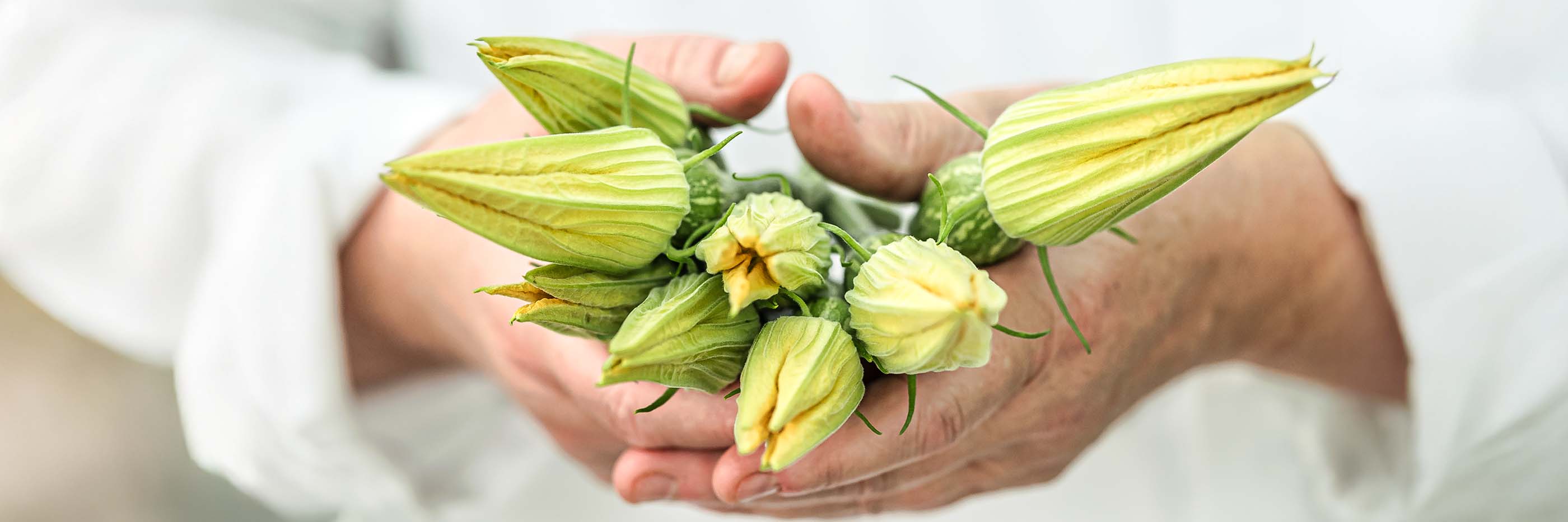 Binu vegetable : Baby butternut