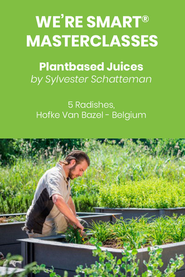 We're Smart masterclass by Sylvester Schatteman