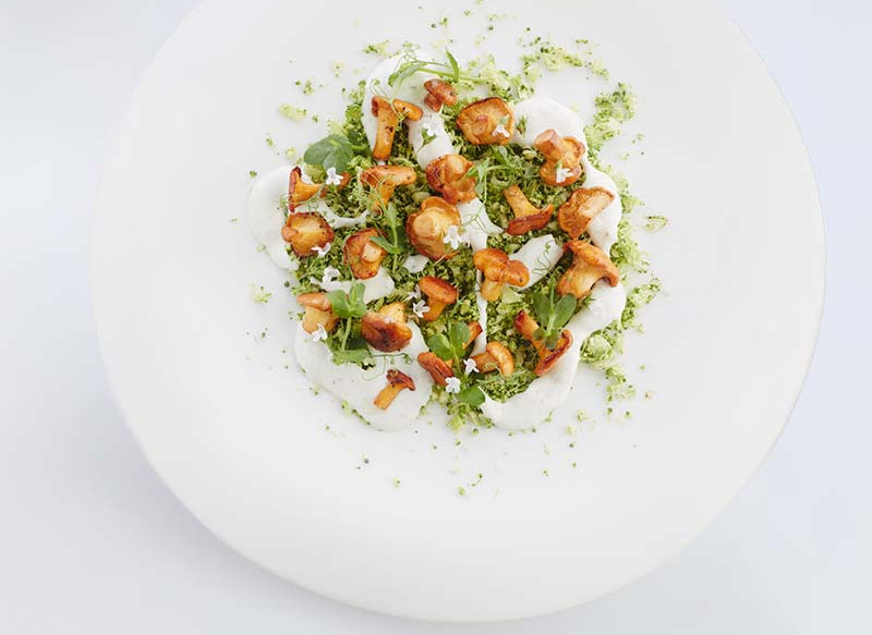 Raw broccoli tartare with goat cheese & summer savory vinaigrette, sautéed chanterelles and pea cress