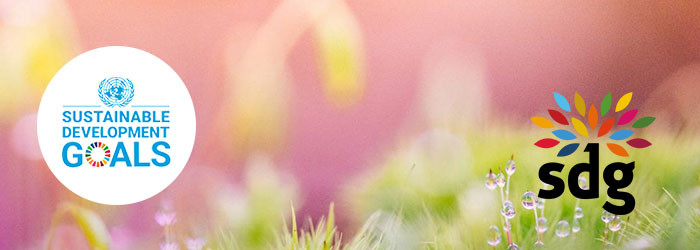 sdg