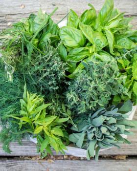 Culinary technique microwave