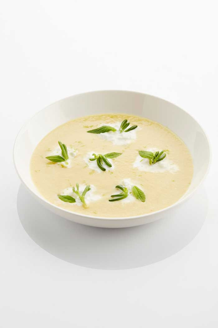 Culinary Technique - Soup