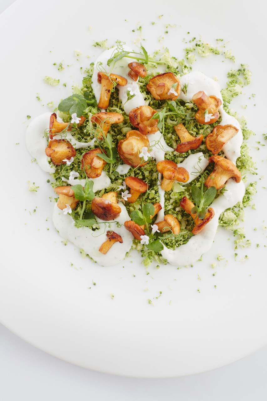 Raw broccoli tartare with goat cheese & summer savory vinaigrette, sautéed chanterelles and pea cress