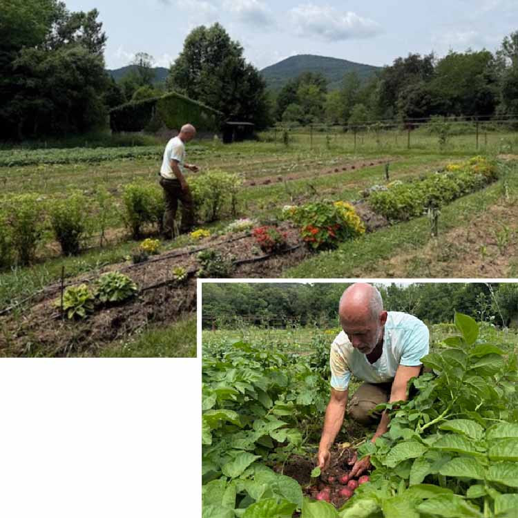 The vegetable Garden Les cols