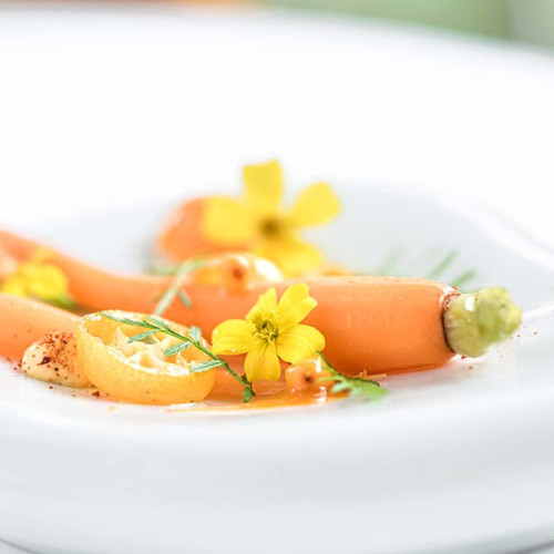 Radilicious book number 1