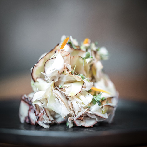 Radilicious book number 1