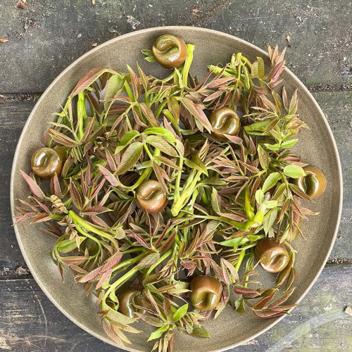 Walnootblad boombons