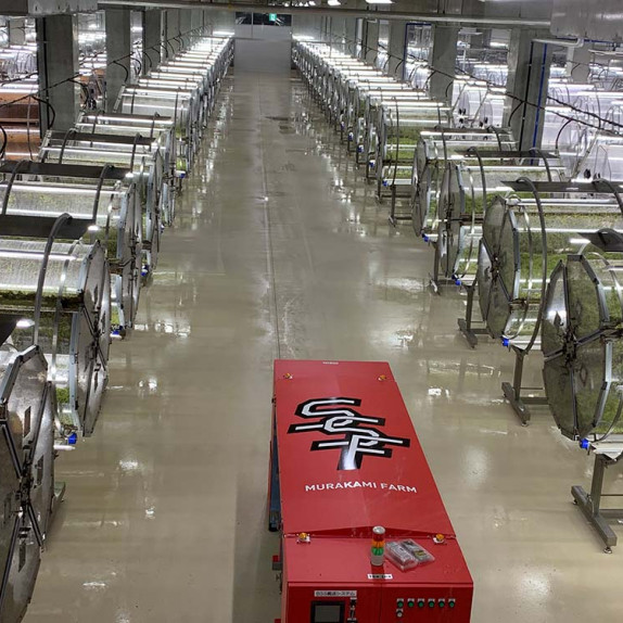 Vegetable growers in Japan